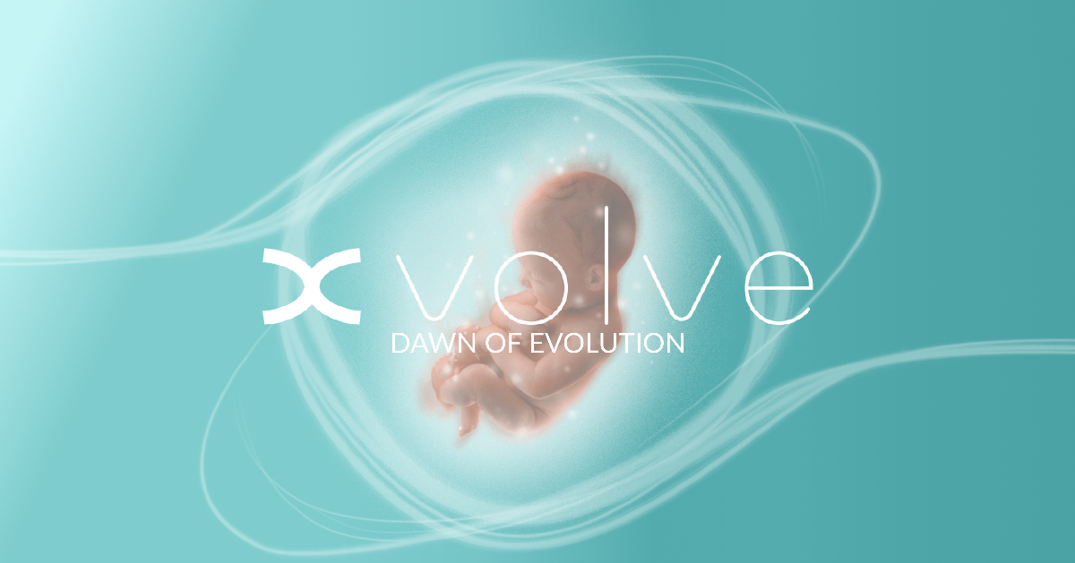 XVOLVE GROUPのイメージ写真